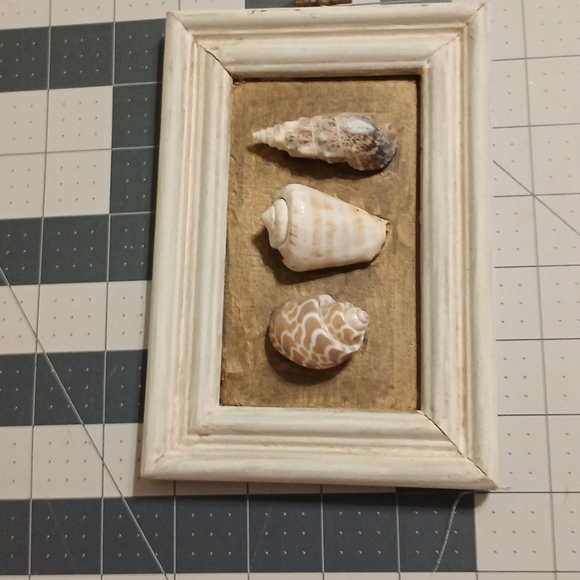 Set of sea shell decor items - Picture 4 of 7